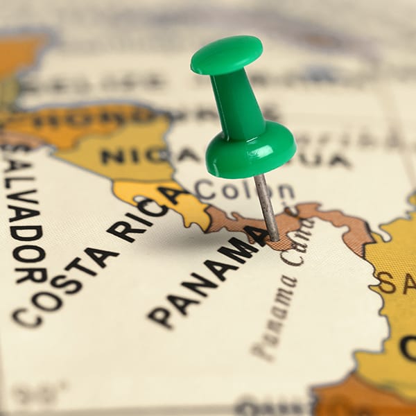 Ivy’s Peppa sauce | Pepper-infused sauce | Premium sauce